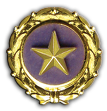 Edwardsville Ryan Garbs Gold Star Memorial